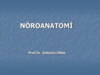 NÖROANATOMİ Prof.Dr. Süheyla ÜNAL