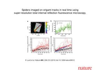 K Lund et al. Nature 465 , 206 - 210 (2010) doi:10.1038/nature09012