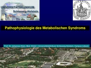 Pathophysiologie des Metabolischen Syndroms