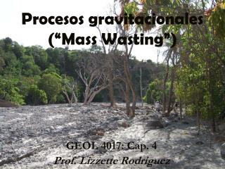 Procesos gravitacionales (“Mass Wasting”)