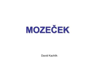 MOZEČEK