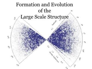 Formation and Evolution of the Large Scale Structure