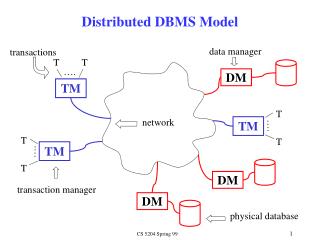 Distributed DBMS Model
