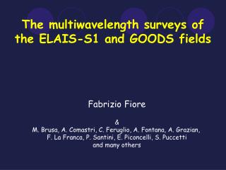 The multiwavelength surveys of the ELAIS-S1 and GOODS fields