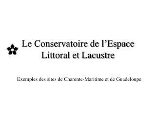 Le Conservatoire de l’Espace Littoral et Lacustre