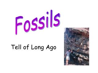 Fossils