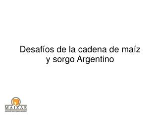 Desafíos de la cadena de maíz y sorgo Argentino