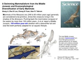 Science 24 February 2006: Vol. 311. no. 5764, pp. 1123 - 1127