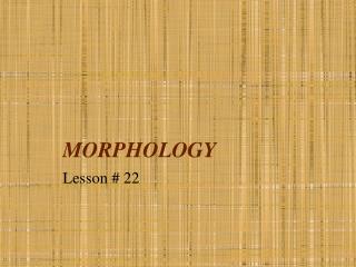 MORPHOLOGY
