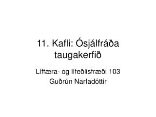 11. Kafli: Ósjálfráða taugakerfið