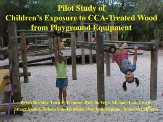 Pilot Study of Children’s Exposure to CCA-Treated Wood from Playground Equipment