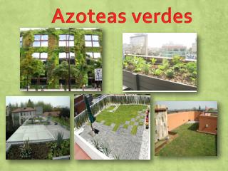 Azoteas verdes