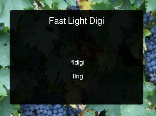 Fast Light Digi