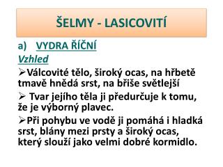 ŠELMY - LASICOVITÍ