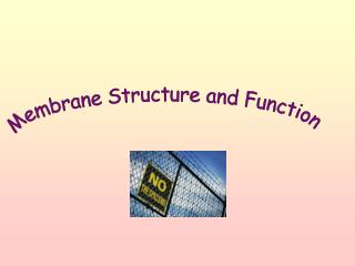 Membrane Structure and Function