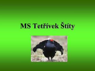 MS Tetřívek Štíty