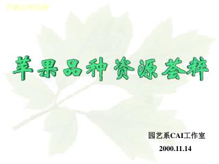 园艺系 CAI 工作室 2000.11.14