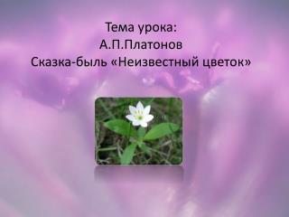 Тема урока: А.П.Платонов Сказка-быль «Неизвестный цветок»