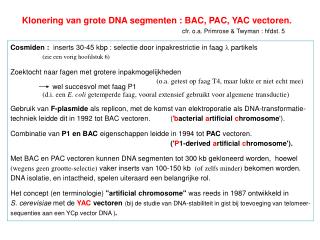 Klonering van grote DNA segmenten : BAC, PAC, YAC vectoren. cfr. o.a. Primrose &amp; Twyman : hfdst. 5