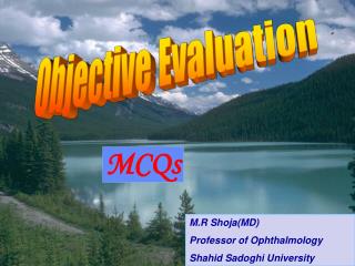 Objective Evaluation