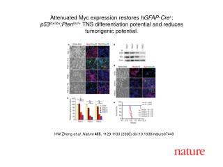 HW Zheng et al. Nature 455 , 1129-1133 (2008) doi:10.1038/nature07443