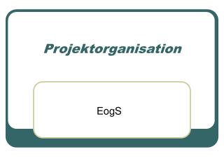 Projektorganisation