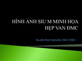 HÌNH ẢNH SIU M MINH HỌA HẸP VAN ĐMC