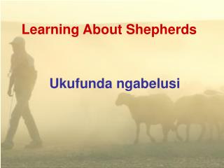 Learning About Shepherds