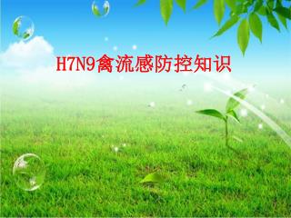 H7N9禽流感 防控知识