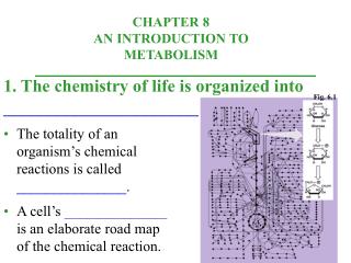 1. The chemistry of life is organized into _______________________