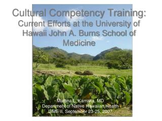 Cultural Competency Training: Current Efforts at the University of Hawaii John A. Burns School of Medicine
