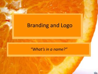 Branding and Logo