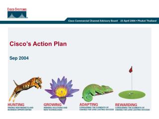 Cisco’s Action Plan