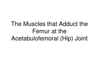 The Muscles that Adduct the Femur at the Acetabulofemoral (Hip) Joint