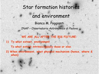 Star formation histories and environment
