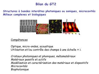 Bilan du GT2