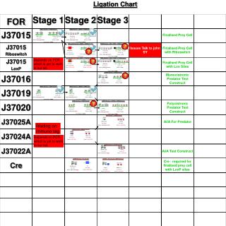 Ligation Chart