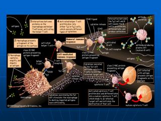 Immunobiology: