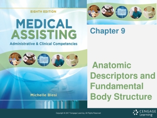 Anatomic Descriptors and Fundamental Body Structure