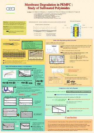 Membrane Degradation in PEMFC : Study of Sulfonated Polyimides