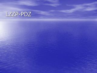 LZZP-PDZ