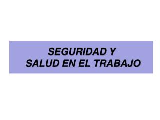 SEGURIDAD Y SALUD EN EL TRABAJO