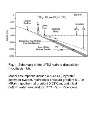 12 C enriched