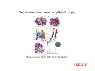 H Dong et al. Nature 000 , 1-5 (2014) doi:10.1038/nature13464