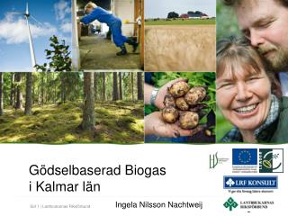Gödselbaserad Biogas i Kalmar län Ingela Nilsson Nachtweij