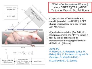 XDXL- Continuazione (IV anno) X-ray DRIFT E X TRA L ARGE Ts (c.n. A .Vacchi), Bo, Pd, Roma