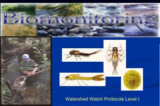Watershed Watch Protocols Level I