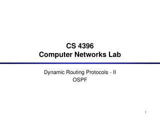 CS 4396 Computer Networks Lab