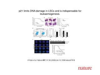 A Viale et al. Nature 45 7 , 51 - 56 (2008) doi:10.1038/nature07 618