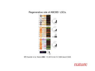 BR Ksander et al. Nature 000 , 1-5 (2014) doi:10.1038/nature13426